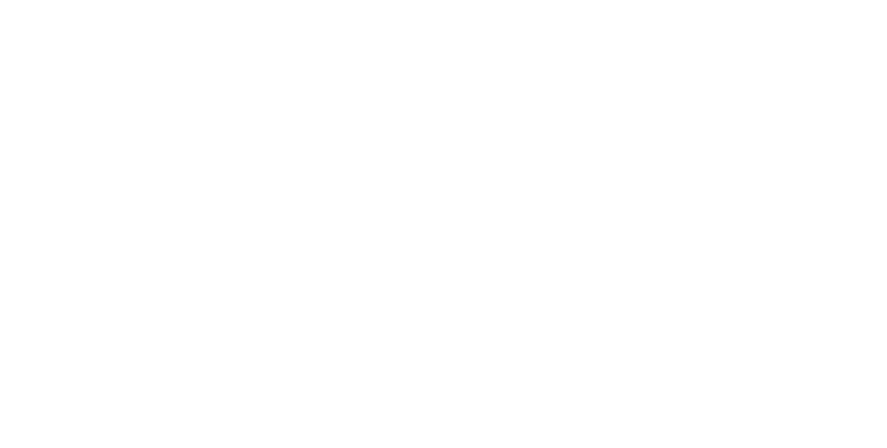 bitRACE